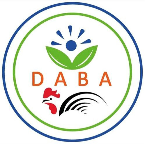 DABA POULET